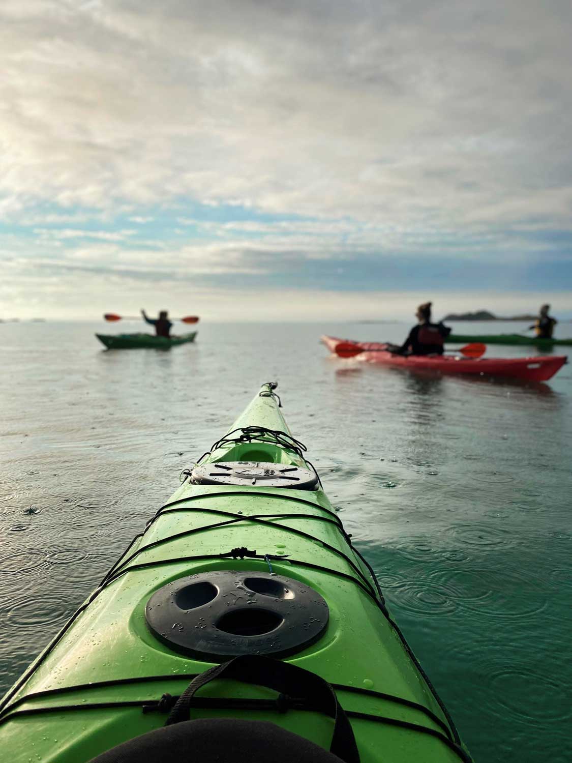 Reinefjord guided tour - Nordland Outdoor