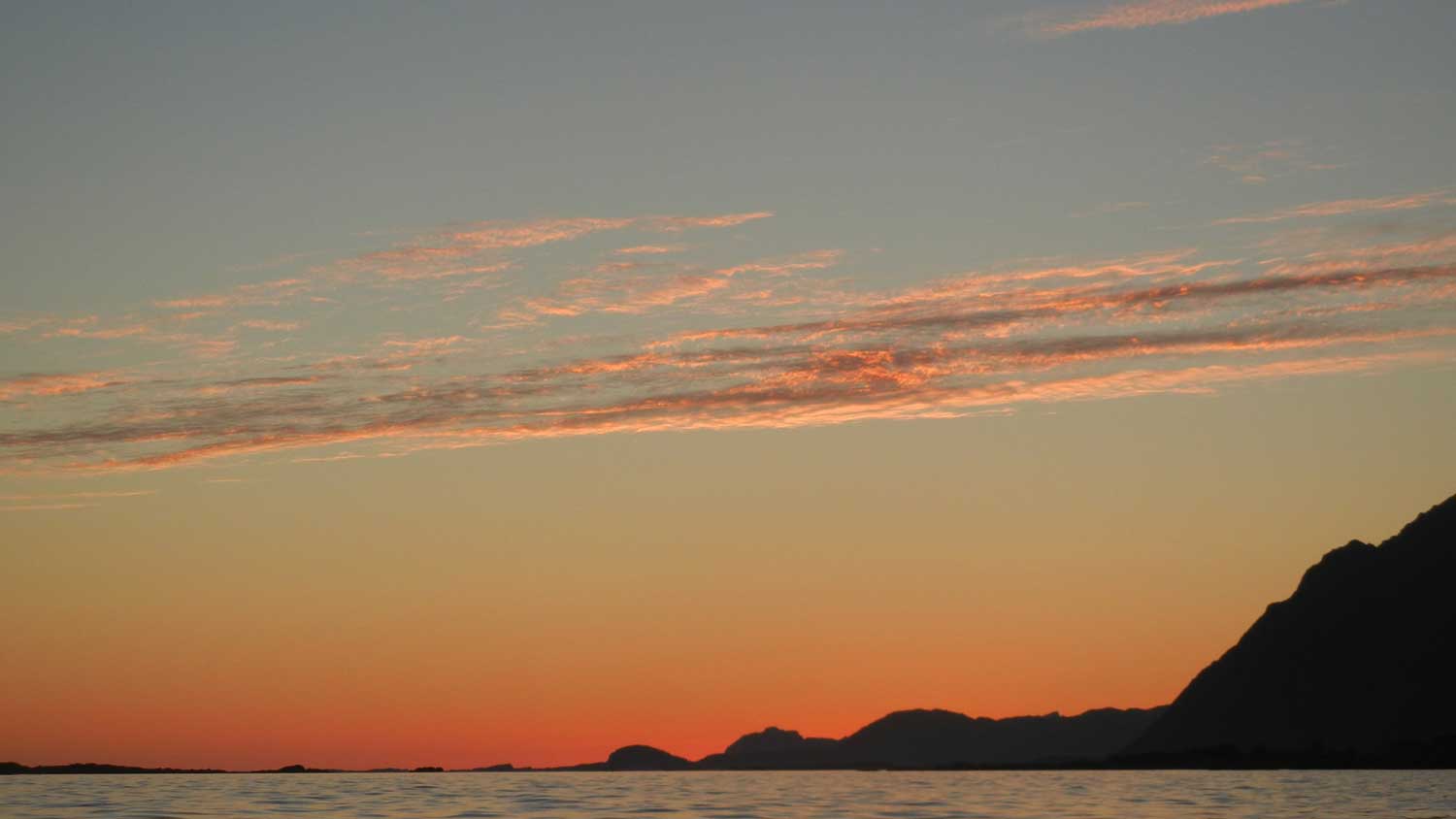 Reinefjord guided tour - Nordland Outdoor